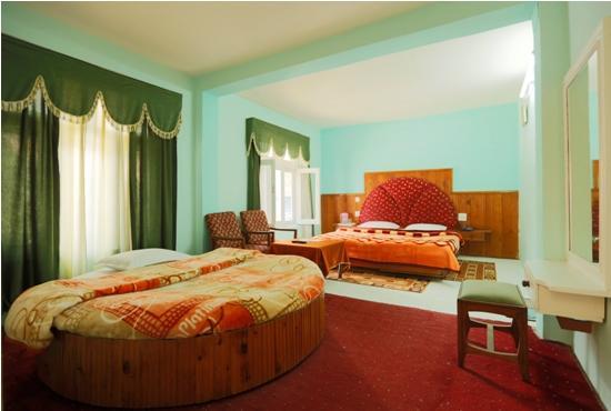 Hotel Mohan PalaceManāli エクステリア 写真